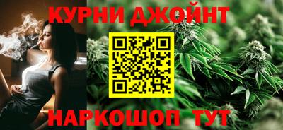 индика Дубна