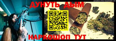 индика Дубна