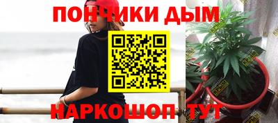 индика Дубна