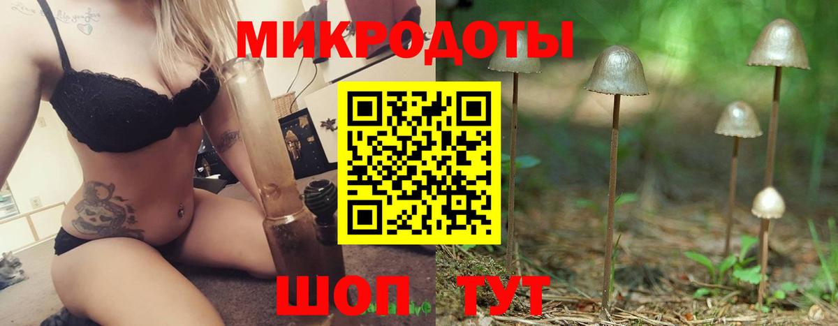 купить наркотик  Галлюциногенные грибы Psilocybine cubensis  Вход с VPN  Магадан 